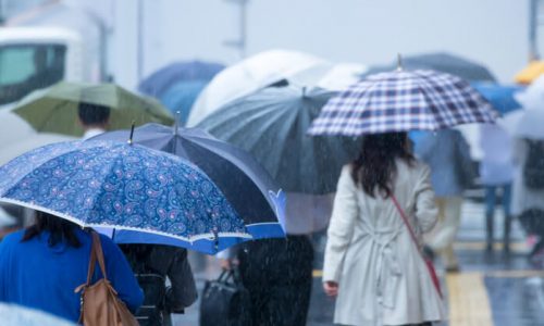 Musim Hujan Tiba, 12 Penyakit Ini Paling Sering Menyerang